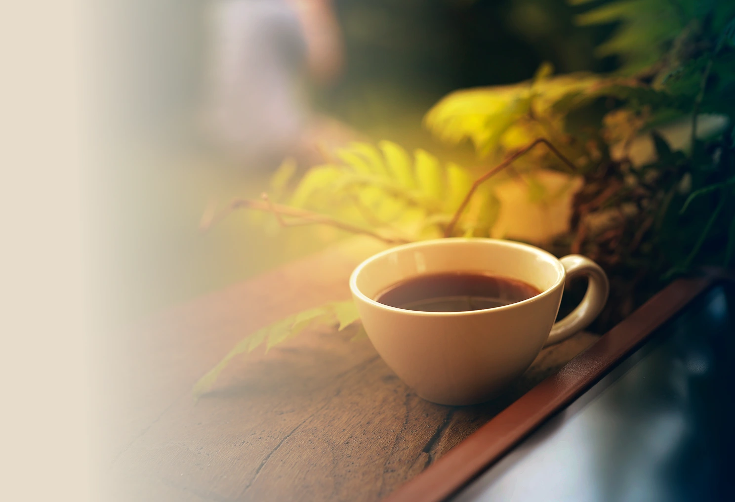 Coffee cup on wooden table outdoors