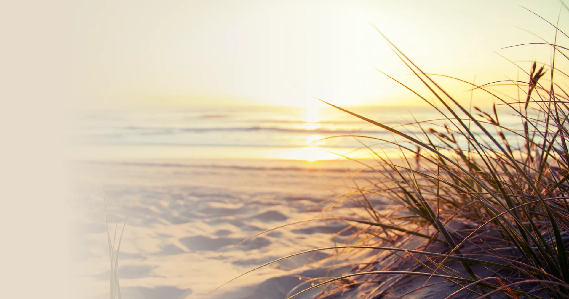 Coastal scene with golden sunrise